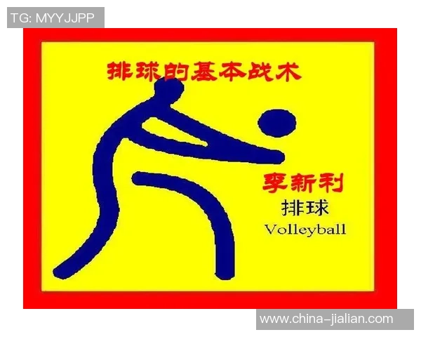 成都排球队防反体系解析：排球战术的创新与实践探索