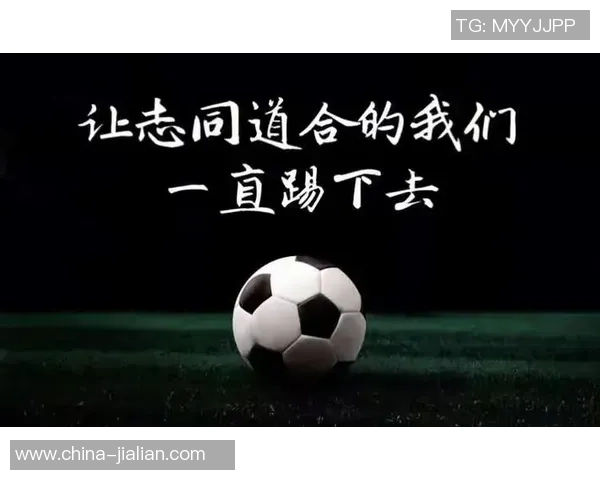 深入分析成都足球队运营策略与市场推广模式的成功之道